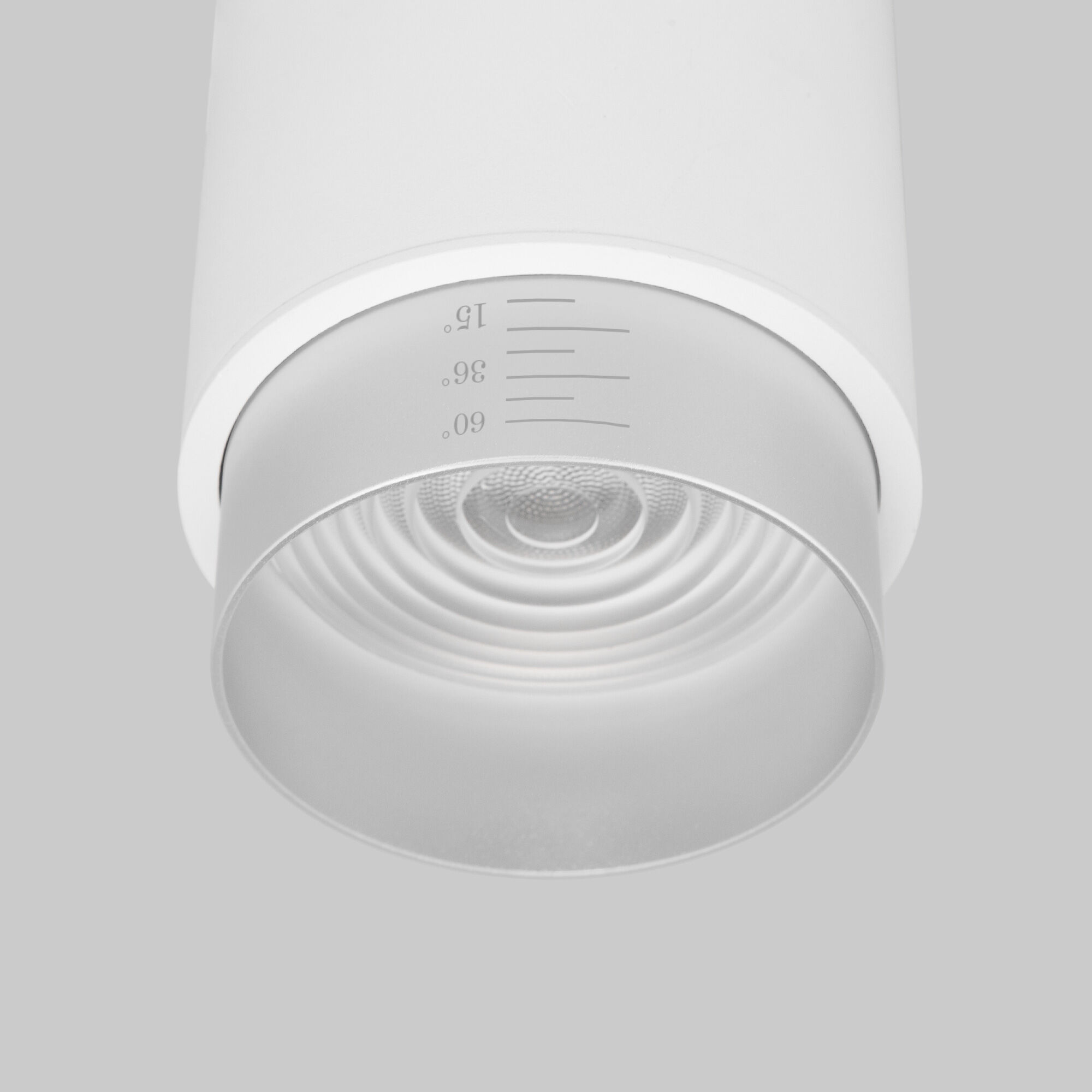 Накладной светодиодный светильник Cors 25032/LED 10W 4200K белый/серебро
