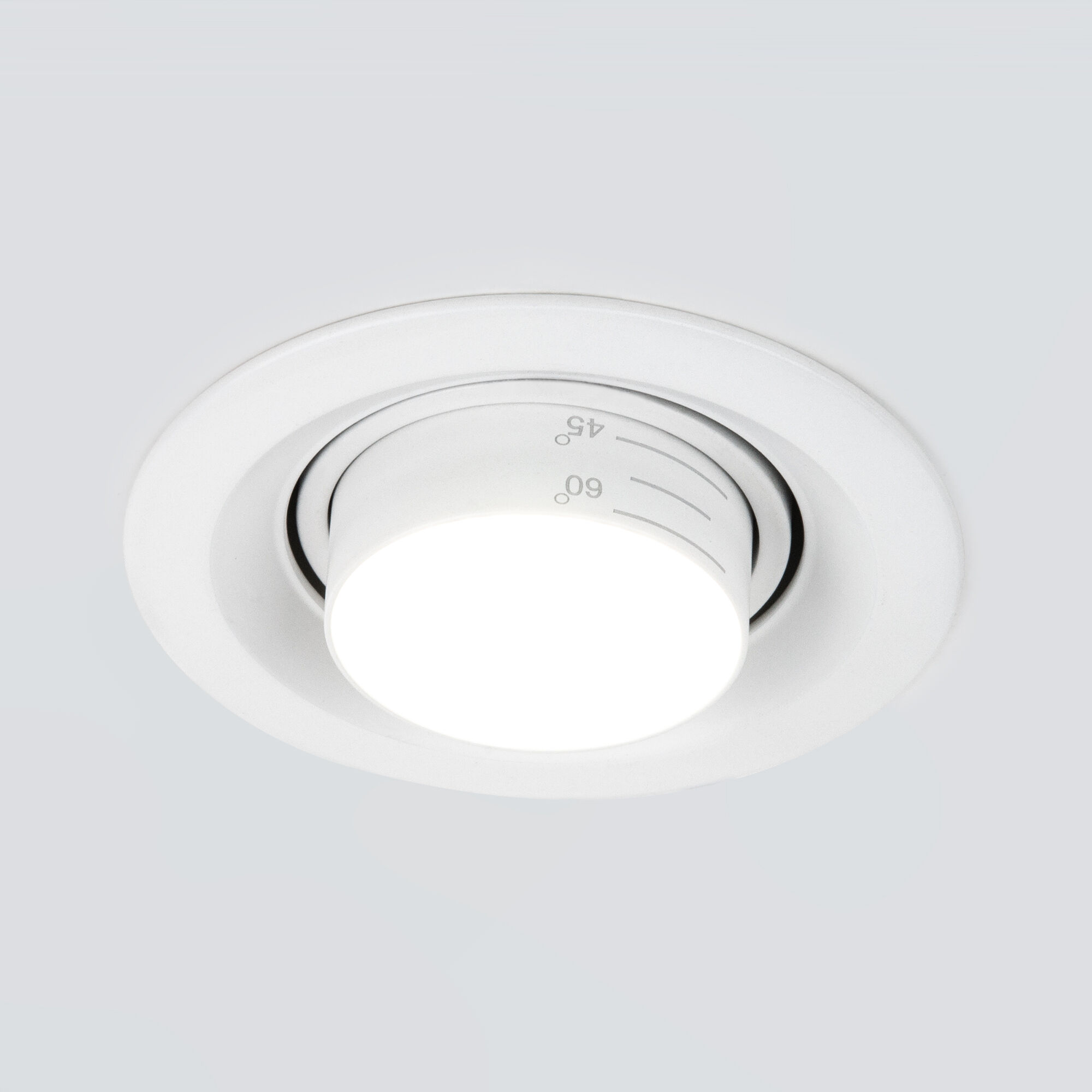 Встраиваемый светодиодный светильник с регулировкой угла освещения Zoom 10W 3000K белый 9919 LED